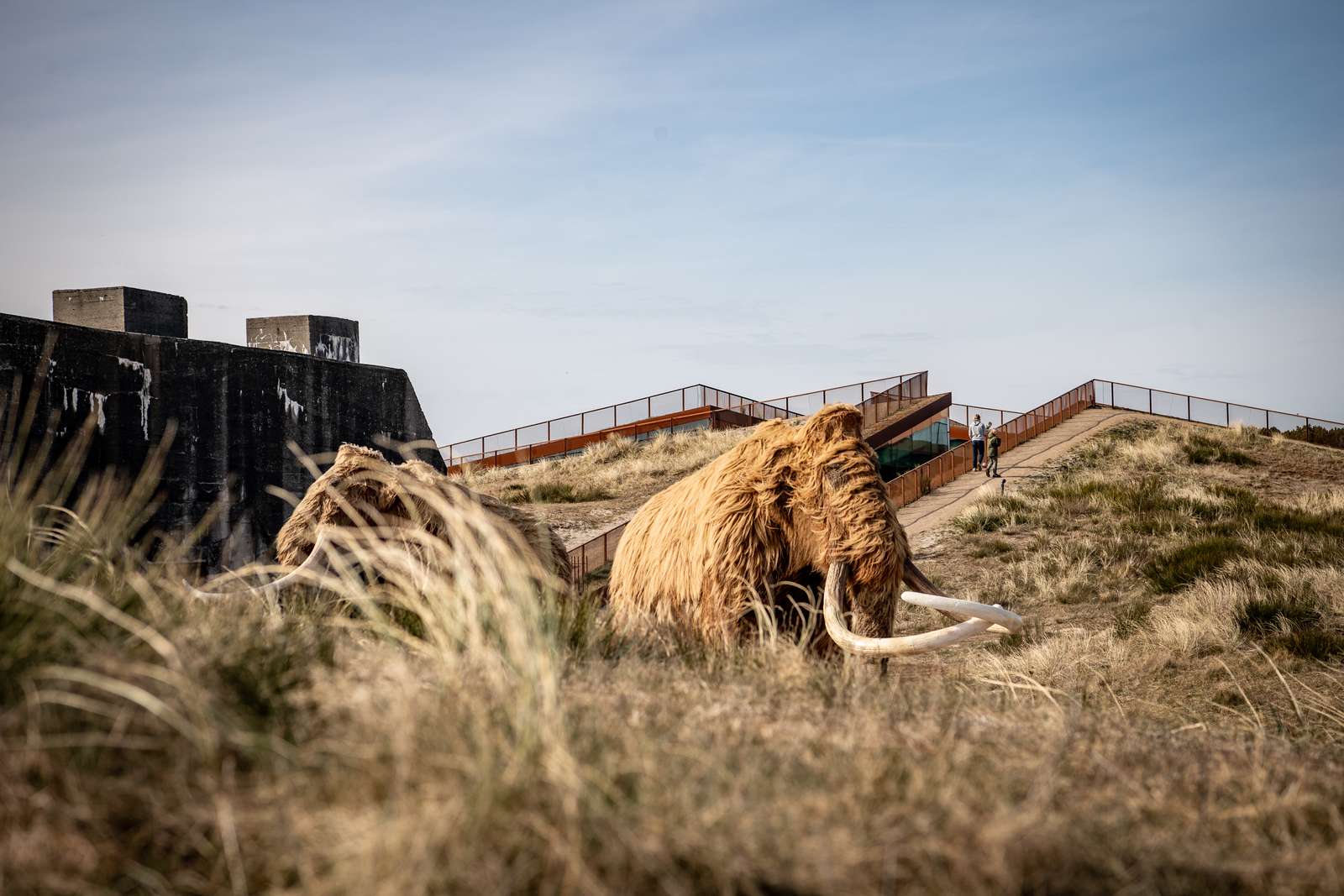 Målestok Kommunikationsnetværk hed Aktiviteter i Blåvand | Visitvesterhavet