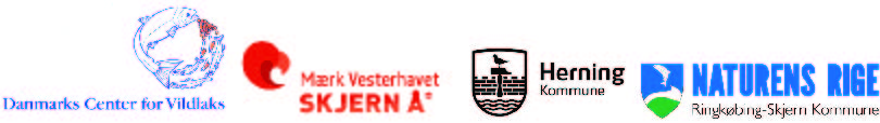 Logobjælke