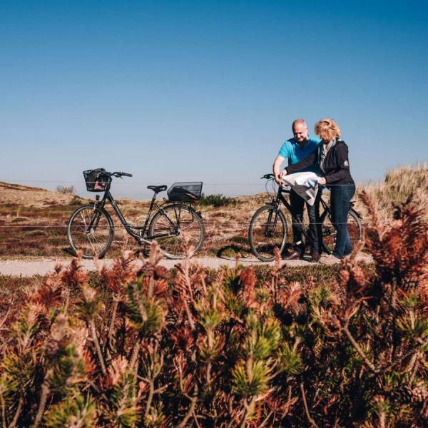 Overleve Bevise erfaring Fjorden rundt på cykel | Visitvesterhavet
