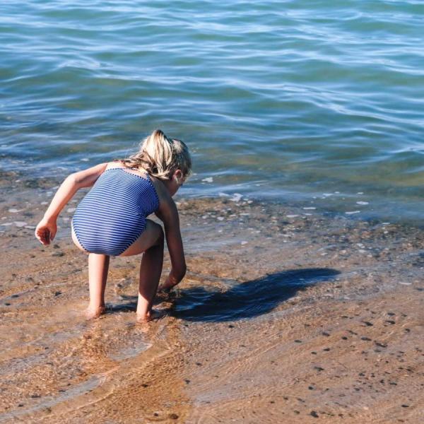 Saml sten på stranden