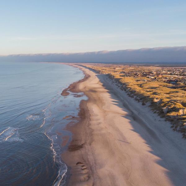 Dronefoto over hennestrand klitter og hav