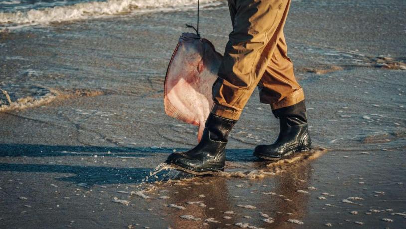 Pighvar - Vejers Strand - Surfcasting