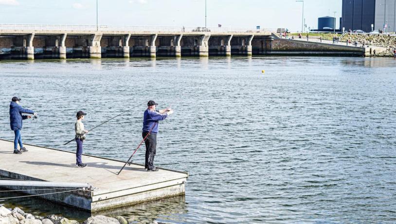 Fiskere ved slusen fisker efter fisk 