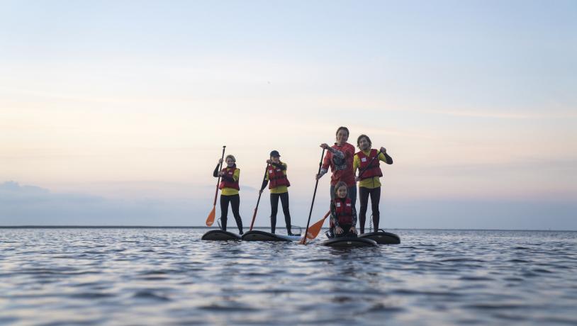 Familie stand up paddler ved Ringkøbing Fjord
