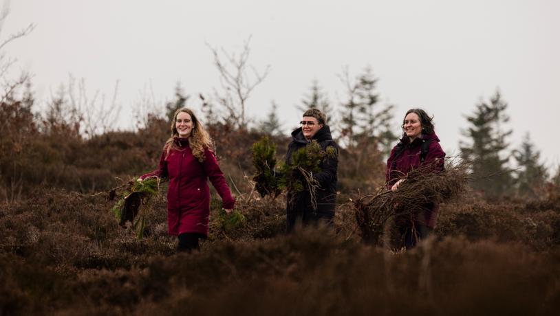 Hedepleje-Dejbjerg Hede-Frivillighed-Sarah Rønholt-VisitVesterhavet
