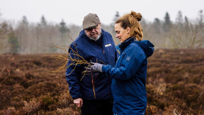 Hedepleje-Dejbjerg-Sarah Rønholt-VisitVesterhavet