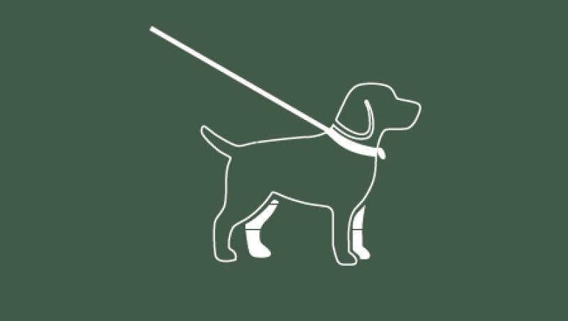 code of conduct hund - sommertid er snortid