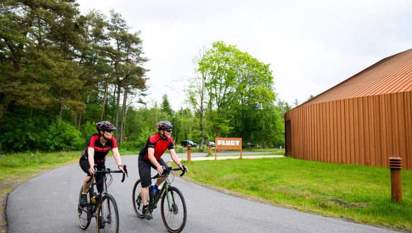 Flugt Cykel