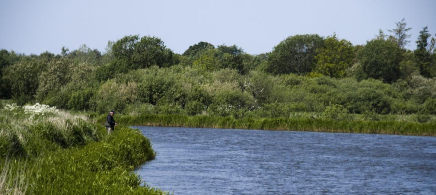 Naturturisme Skjern Å 2015