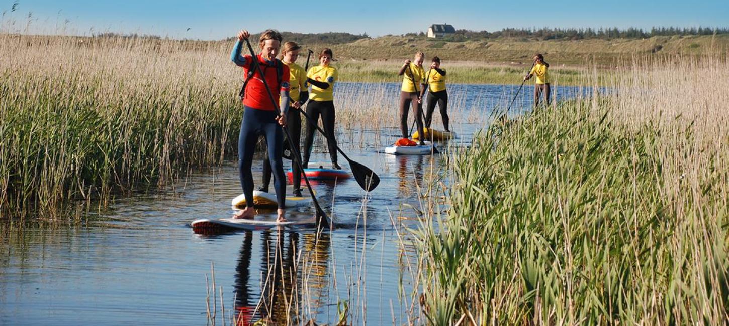 Stand Up Paddle på Ringkøbing Fjord