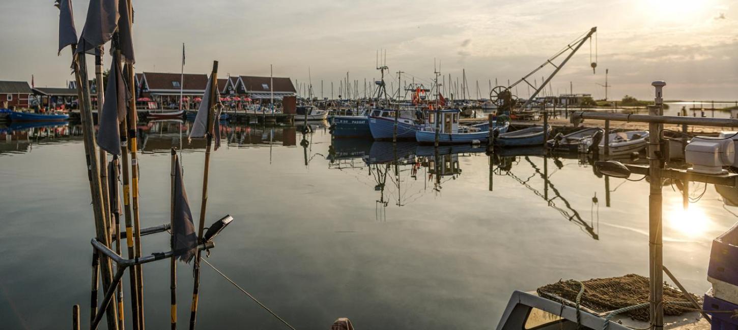 Bork Havn ved Ringkøbing Fjord 