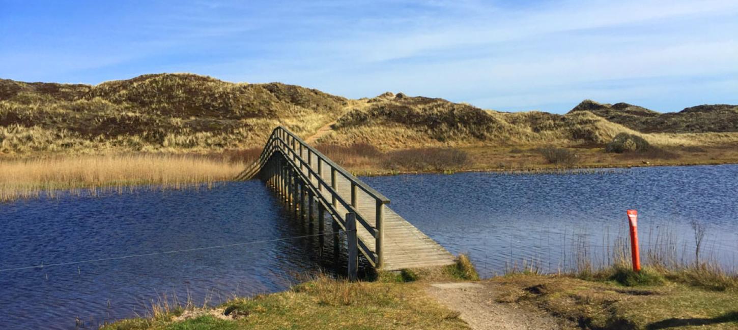 Experience Nature at the North Sea