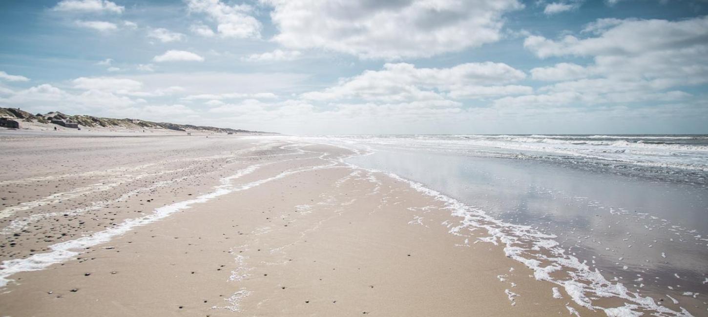Naturområder ved Vesterhavet 