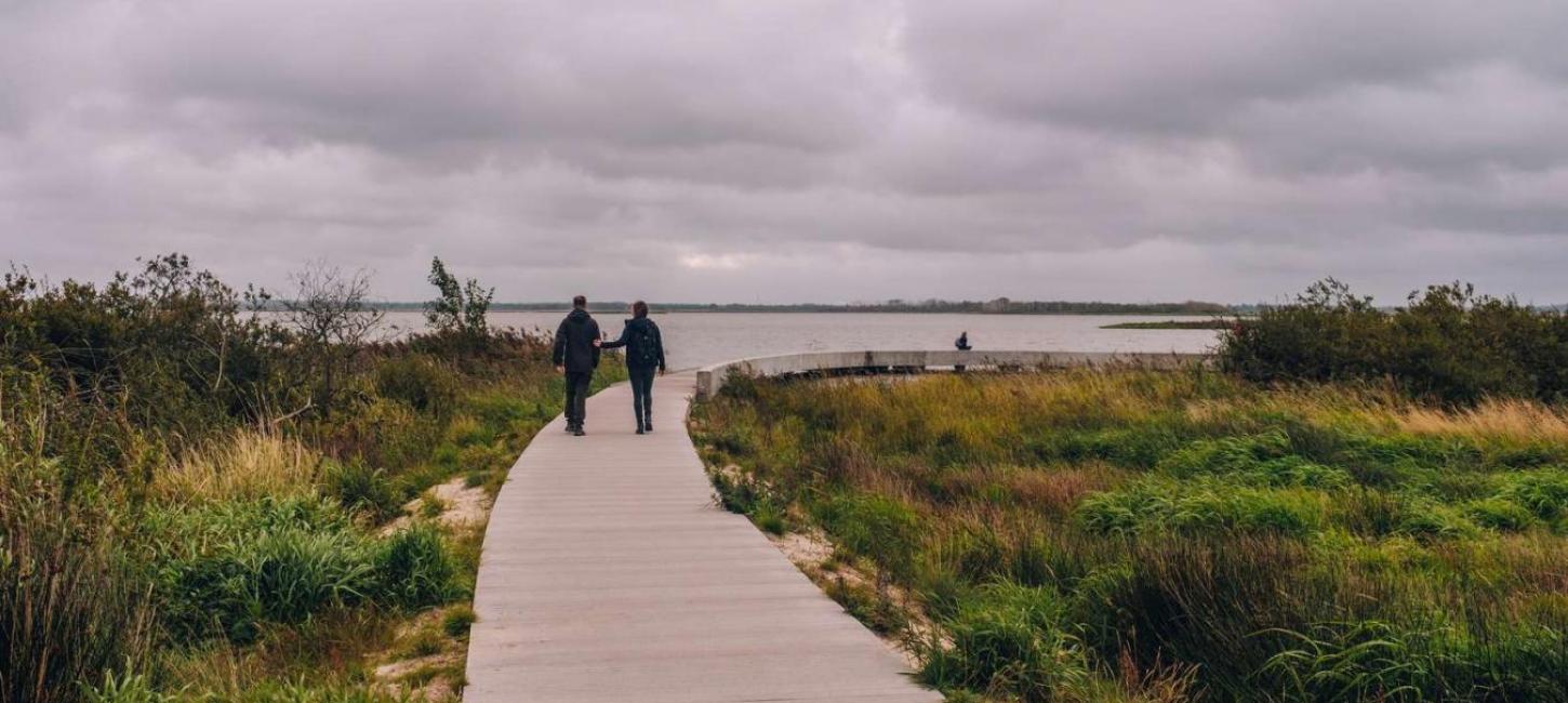 Vandretur ved Filsø