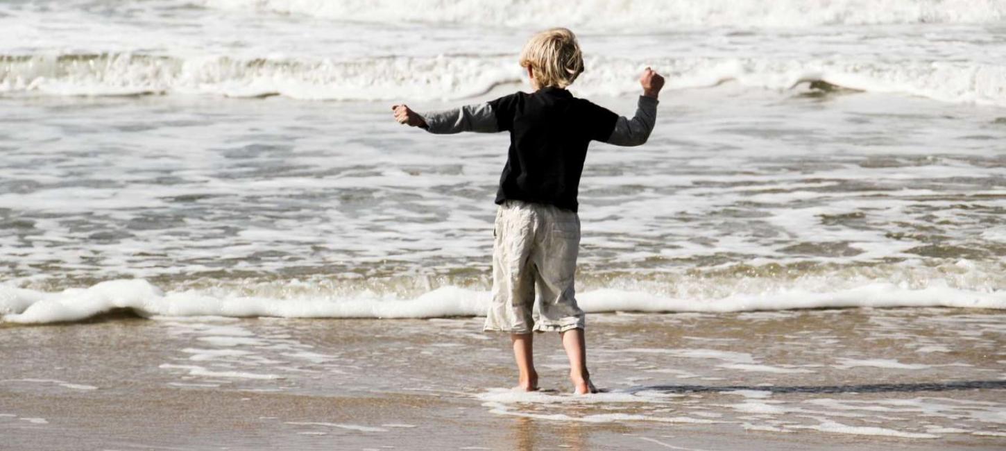 Sommer ved Vesterhavet - Strand