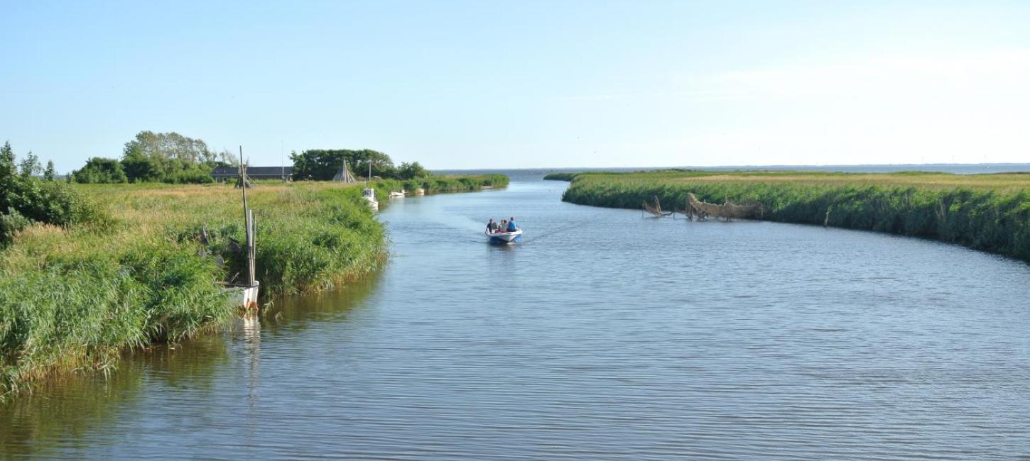 Fiskeri på Ringkøbing Fjord