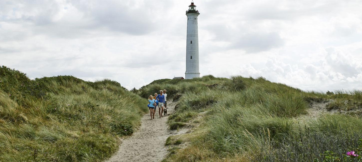 Udsigt til Lyngvig Fyr med sommerstemning