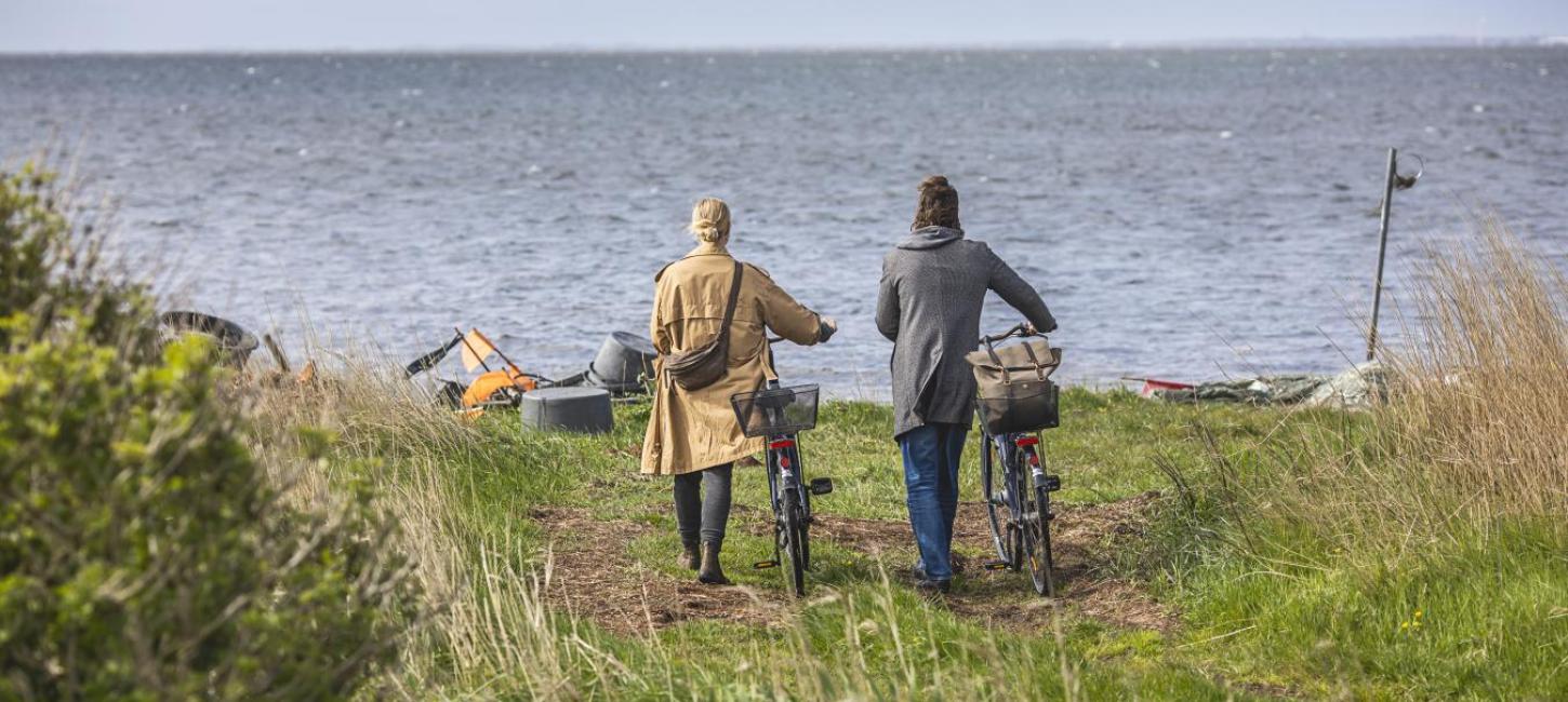 Par ved Ringkøbing Fjord