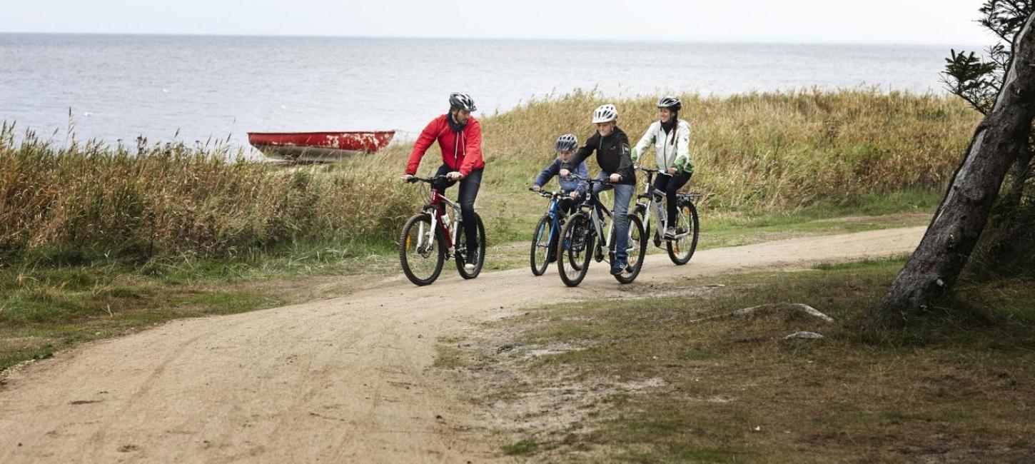 Cykeltur ved Holmsland - familie