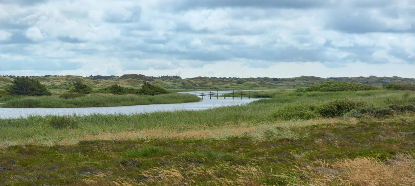Naturskønt område ved Gammelgab