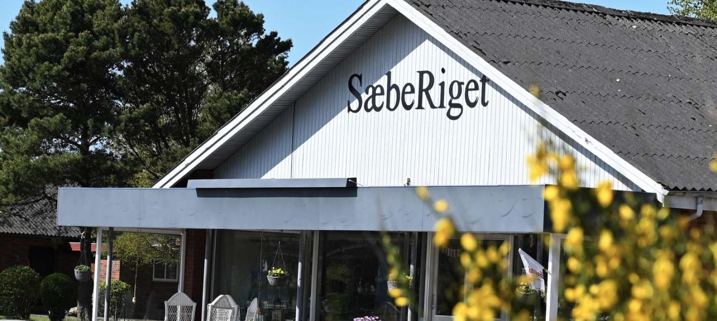 SæbeRiget i Ho