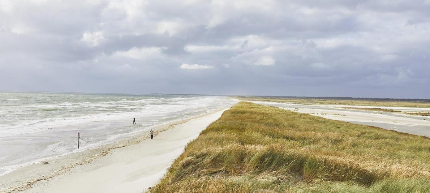 Udsigt over Skallingen og Vesterhavet