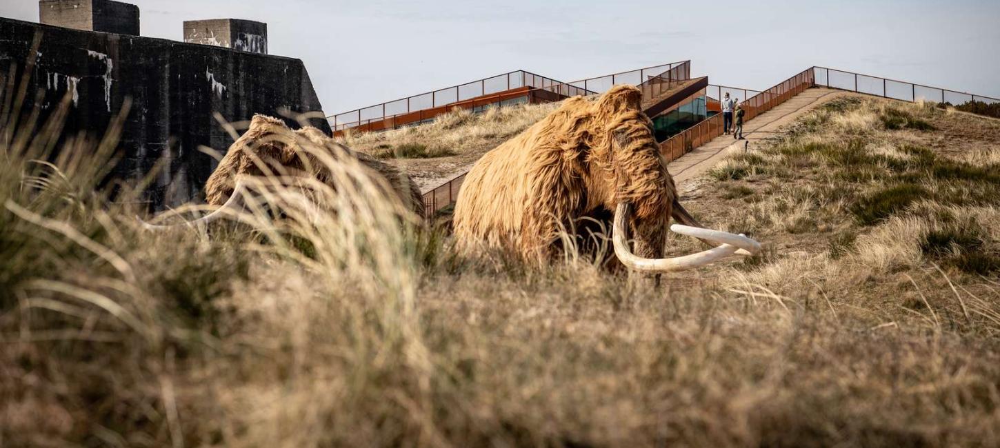 Mammut udstilling ved Tirpitz i Blåvand