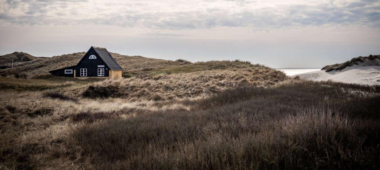 Udsigt til et gult feriehus og Henne Strand