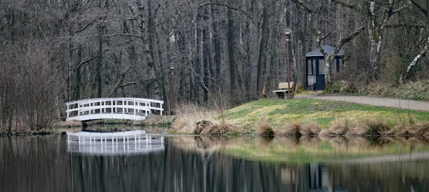 En bro over så og madpakkehus