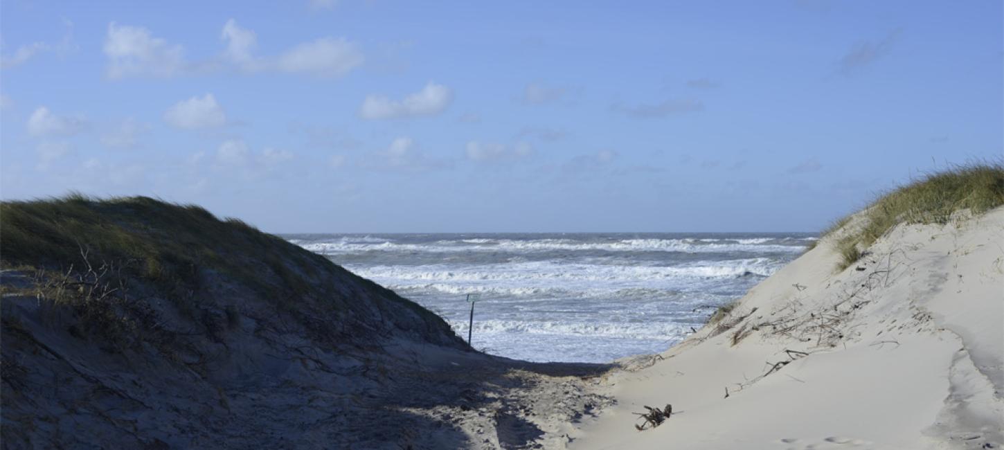 Hvide Sande nordstrand