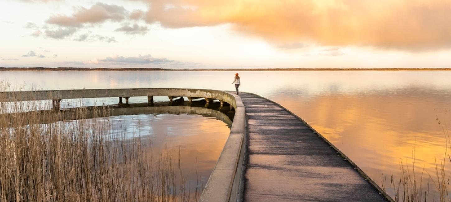 Filsø_sol_natur_Foto kreditering: Sarah Green / @Sarahinthegreen
