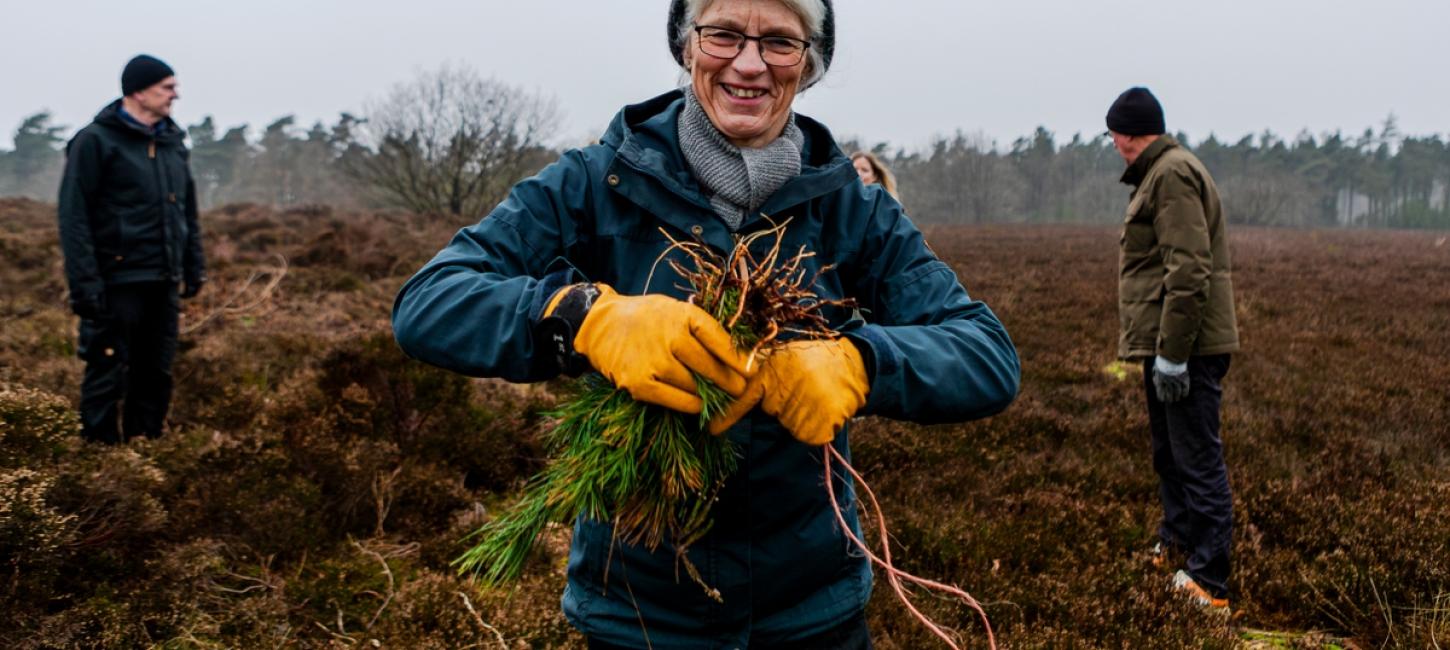 Hedepleje-Dejbjerg-Frivillighed-regenerativ turisme -Sarah Rønholt-VisitVesterhavet