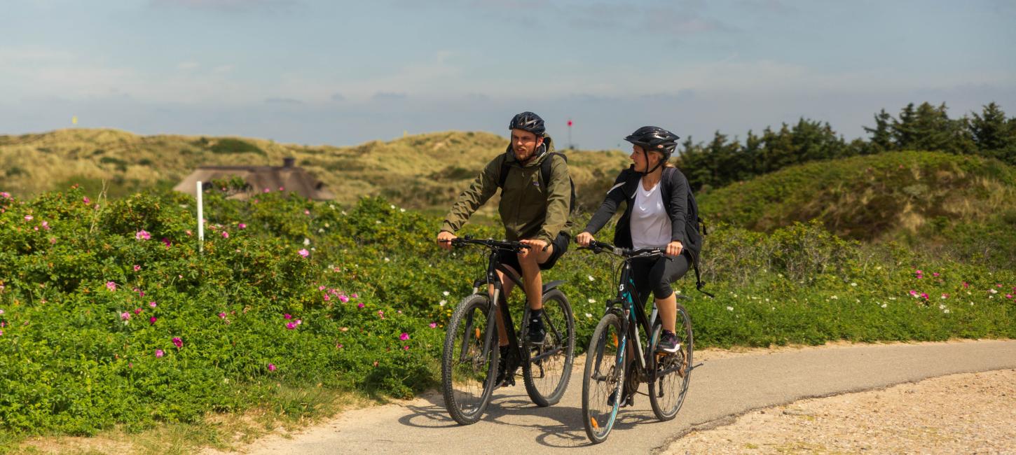 Par der cykler