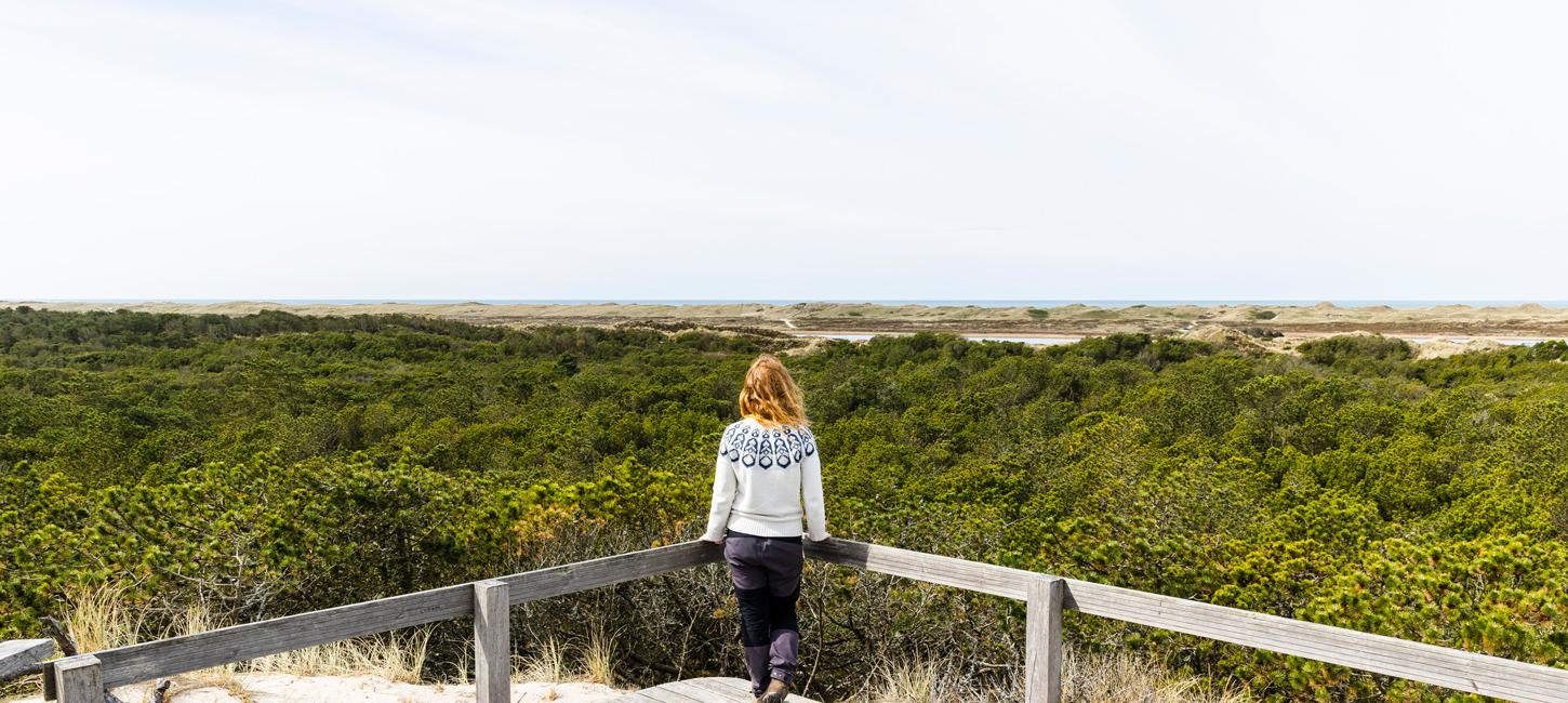 Kvinde kigger ud over natur