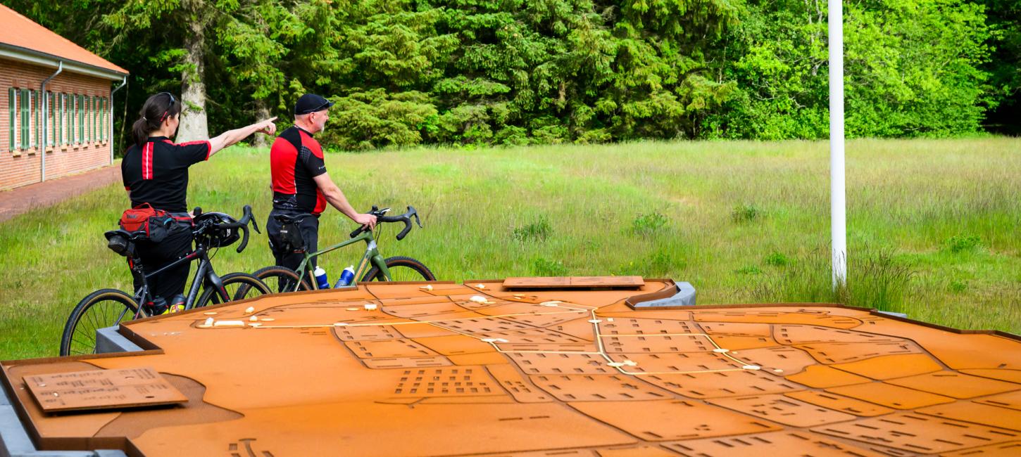 Cykel Flugt Oksbøl