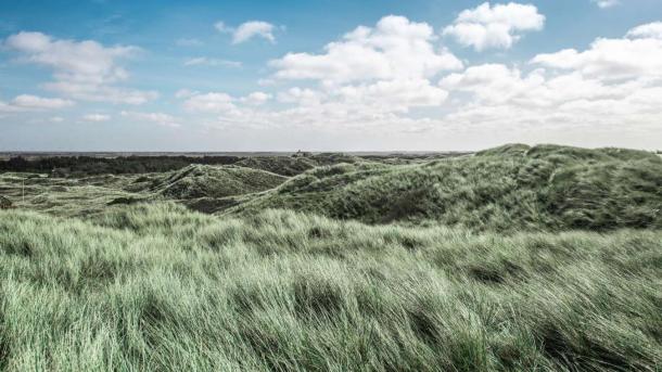 Klitter ved Vesterhavet