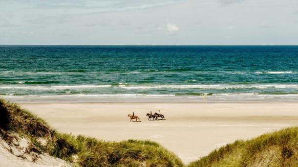 Ridning på stranden