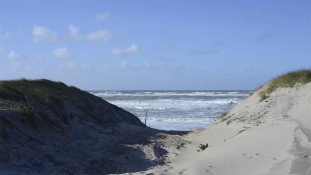 Hvide Sande nordstrand