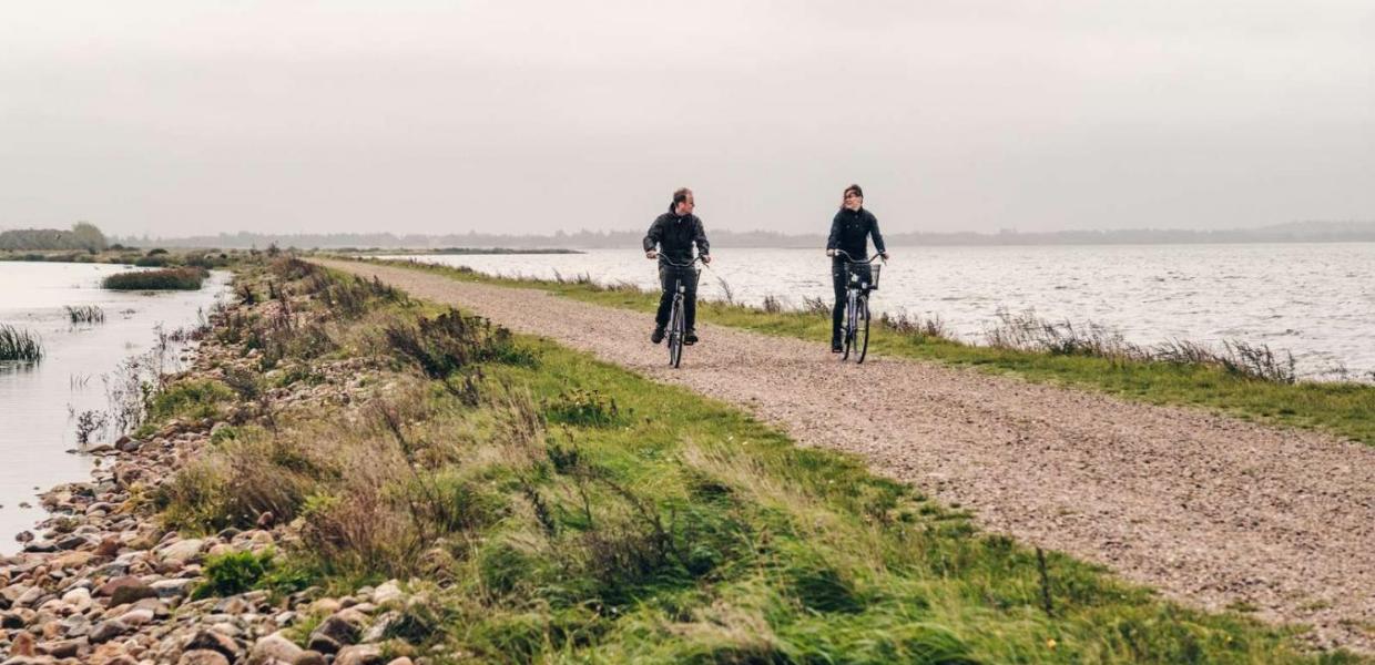 På cykel ved Filsø