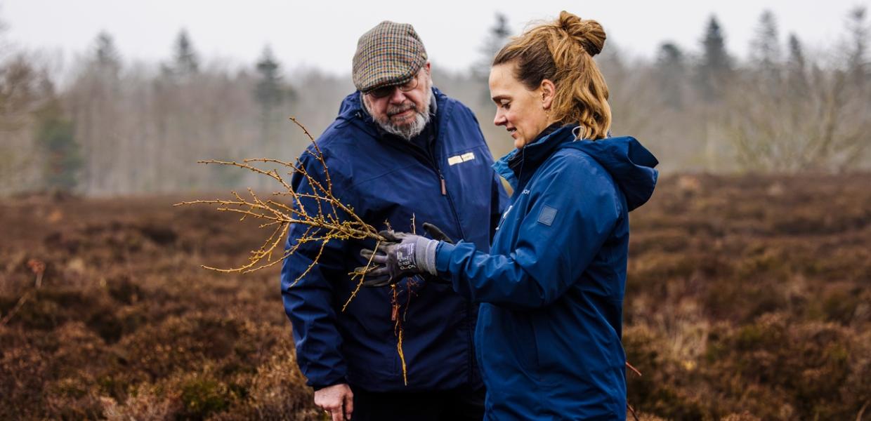 Hedepleje-Dejbjerg-Sarah Rønholt-VisitVesterhavet