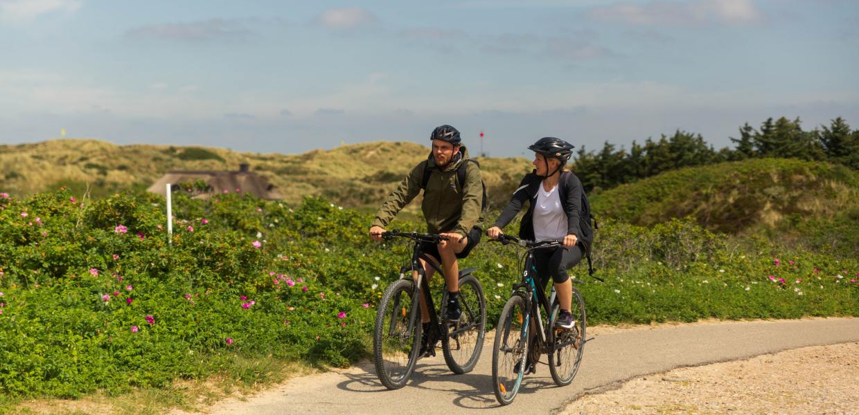 Par der cykler