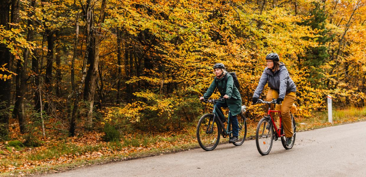 Cykel efterår