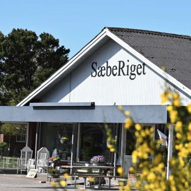 SæbeRiget i Ho