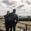 Vesterhavsturister bruger flere penge end nogensinde