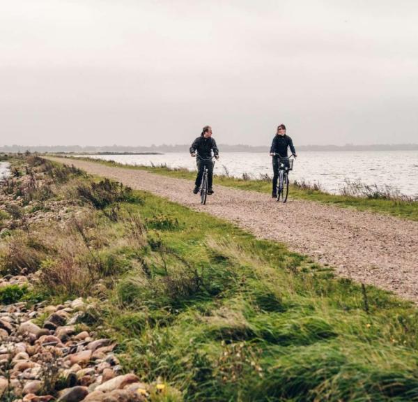 På cykel ved Filsø