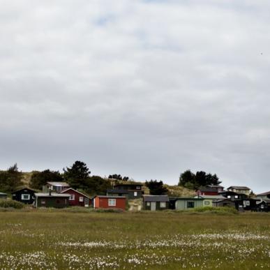 Tipperne