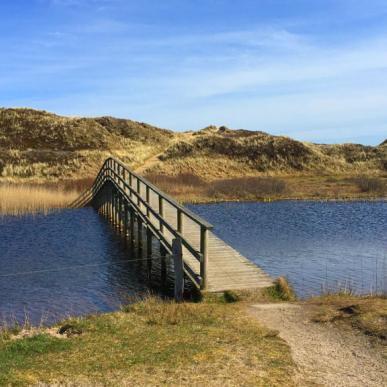 Experience Nature at the North Sea 