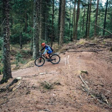 Mountainbike i Blåbjerg Plantage