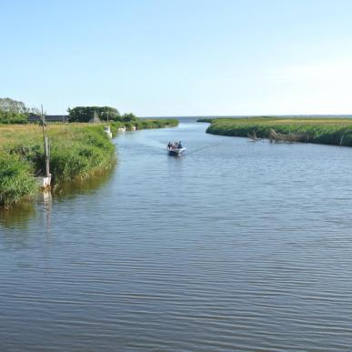 Fiskeri på Ringkøbing Fjord