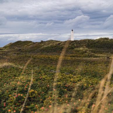 Blåvand Huk fyr, danmarks vestligste punkt i efteråret